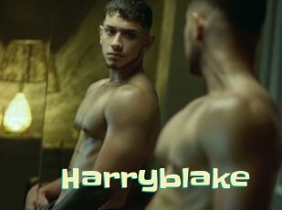 Harryblake