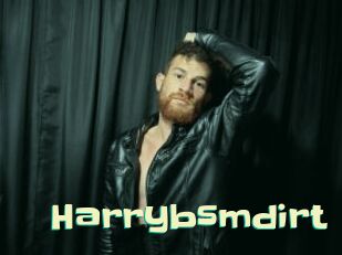 Harrybsmdirt