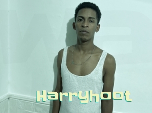 harryhoot Wanna Meet