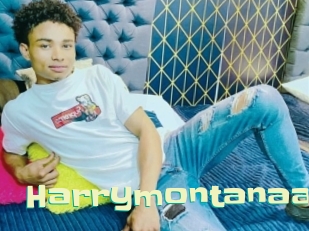 Harrymontanaa