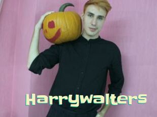 Harrywalters