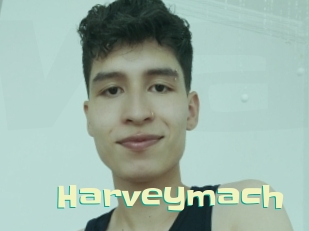 harveymach Wanna Meet