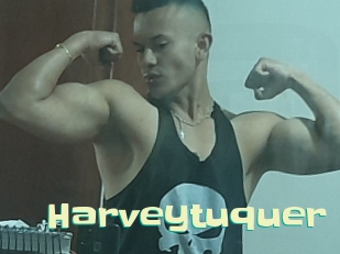 Harveytuquer