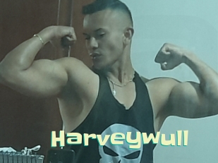 Harveywull