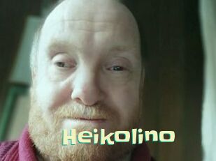 heikolino Wanna Meet