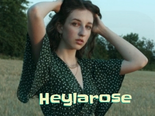 Heylarose