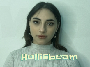 hollisbeam Wanna Meet