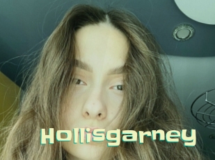 Hollisgarney