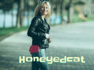 Honeyedcat