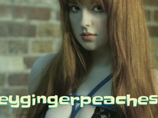 Honeygingerpeaches