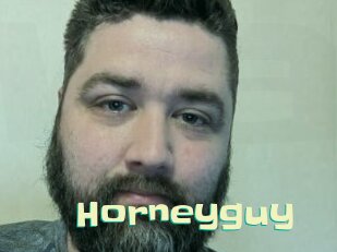 horneyguy Wanna Meet