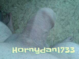 Hornydan1733