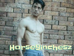 Horse9inchesz