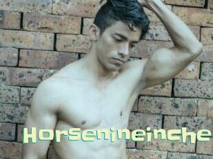 Horsenineinche