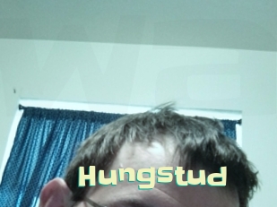 Hungstud