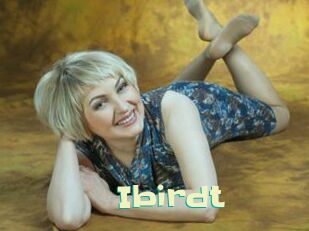 Ibirdt