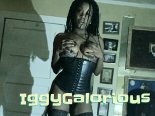 IggyGalorious