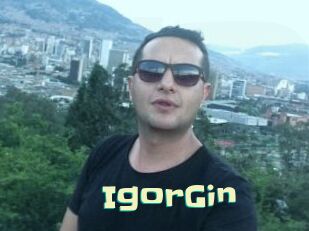 IgorGin