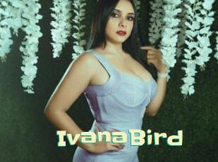 IvanaBird
