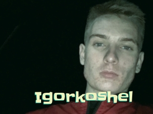 Igorkoshel