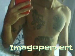 Imagopervert