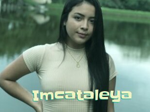 Imcataleya