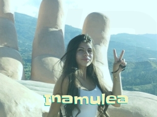 Inamulea