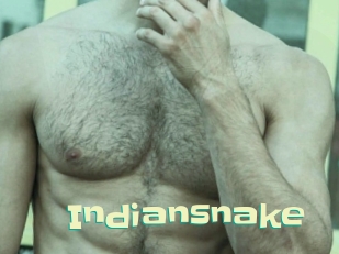 Indiansnake