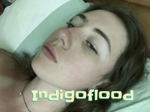 indigoflood Wanna Meet