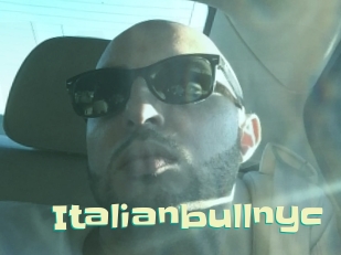 Italianbullnyc