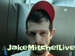 JakeMitchelLive Wanna Meet