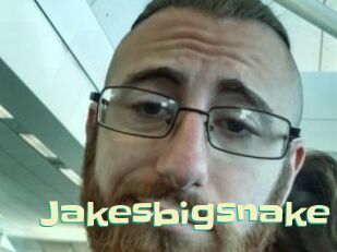 Jakesbigsnake