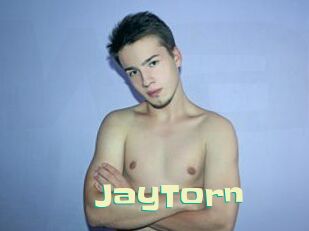 JayTorn Wanna Meet