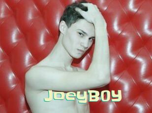 JoeyB0Y