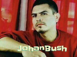JohanBush