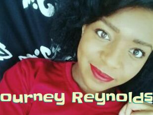 Journey_Reynolds Wanna Meet