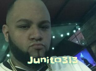 Junito313