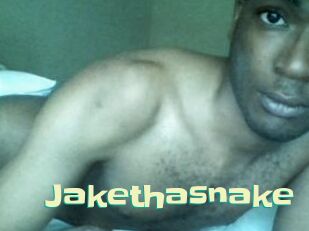 Jake_tha_snake