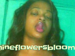 jasmineflowersbloom Wanna Meet