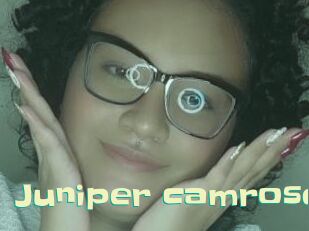 Juniper_camrose