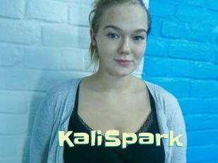 KaliSpark