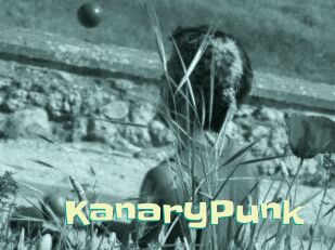 KanaryPunk