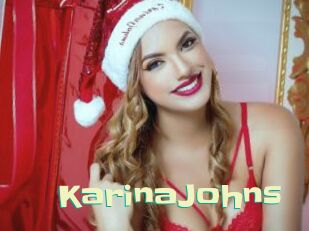 KarinaJohns Wanna Meet