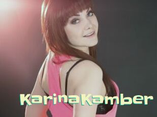 KarinaKamber