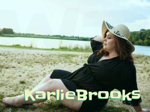 KarlieBrooks Wanna Meet