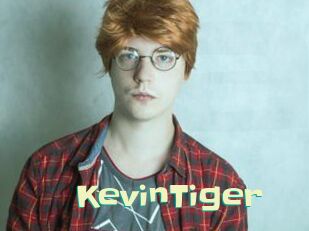 KevinTiger