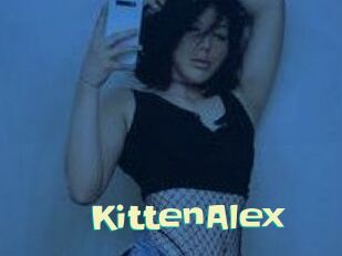 KittenAlex