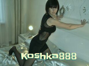Koshka888