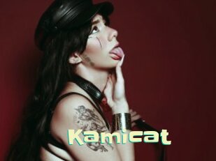Kamicat