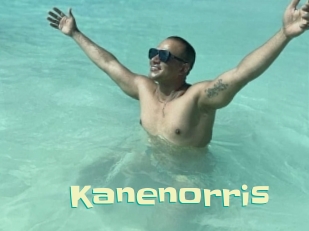 kanenorris Wanna Meet